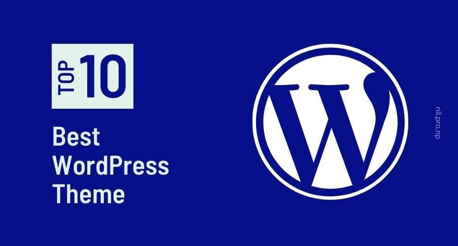 Top 10 Best WordPress Theme